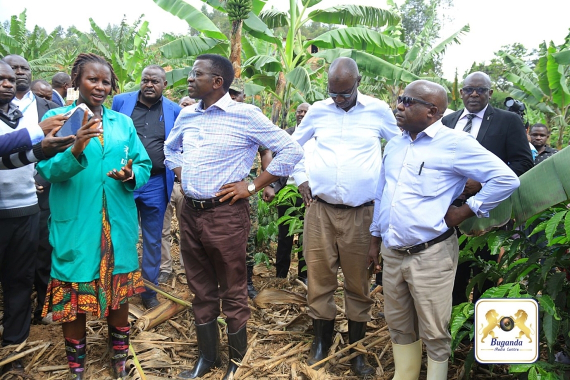 Mukyala Dariah Buule ng'abuulira Katikkiro engeri gy'alabiriramu emmwanyi Image
